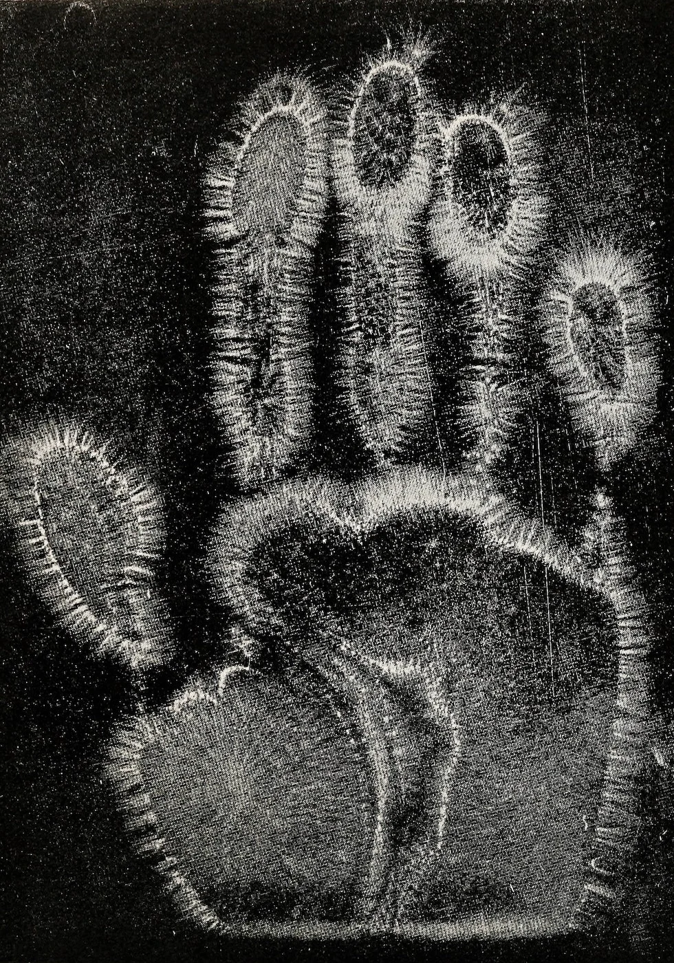 Hippolyte Baraduc, 1896: "Psychic Force" — early attempt to photograph thought emanations from the human body. Subject of period scientific controversy.
