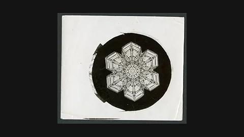 Bentley 1890: Six-pointed stellar snowflake crystal showing intricate symmetrical branches – first successful snowflake photograph