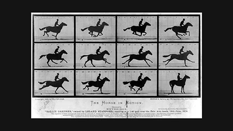 Muybridge 1878: 12-frame sequence of galloping horse on card – first photographic proof of all hooves airborne