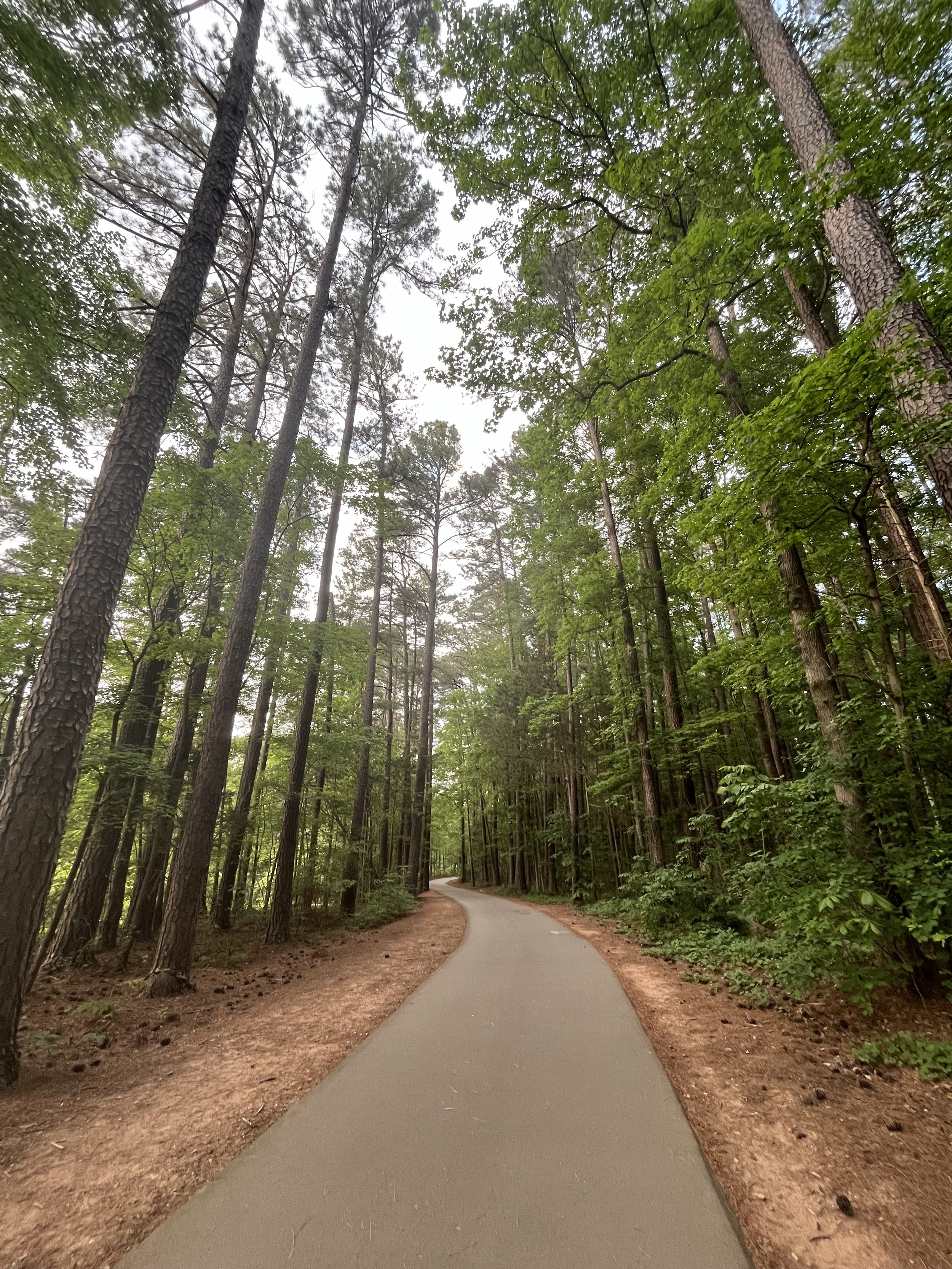 What to Expect in Your First Therapy Session