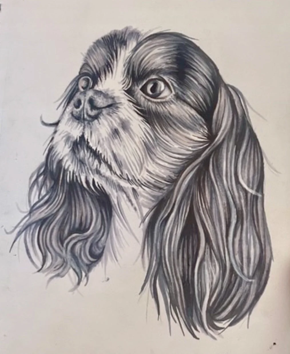 Black and white drawing of a dog with long hair, with one eye winking, highly detailed with realistic fur texture.