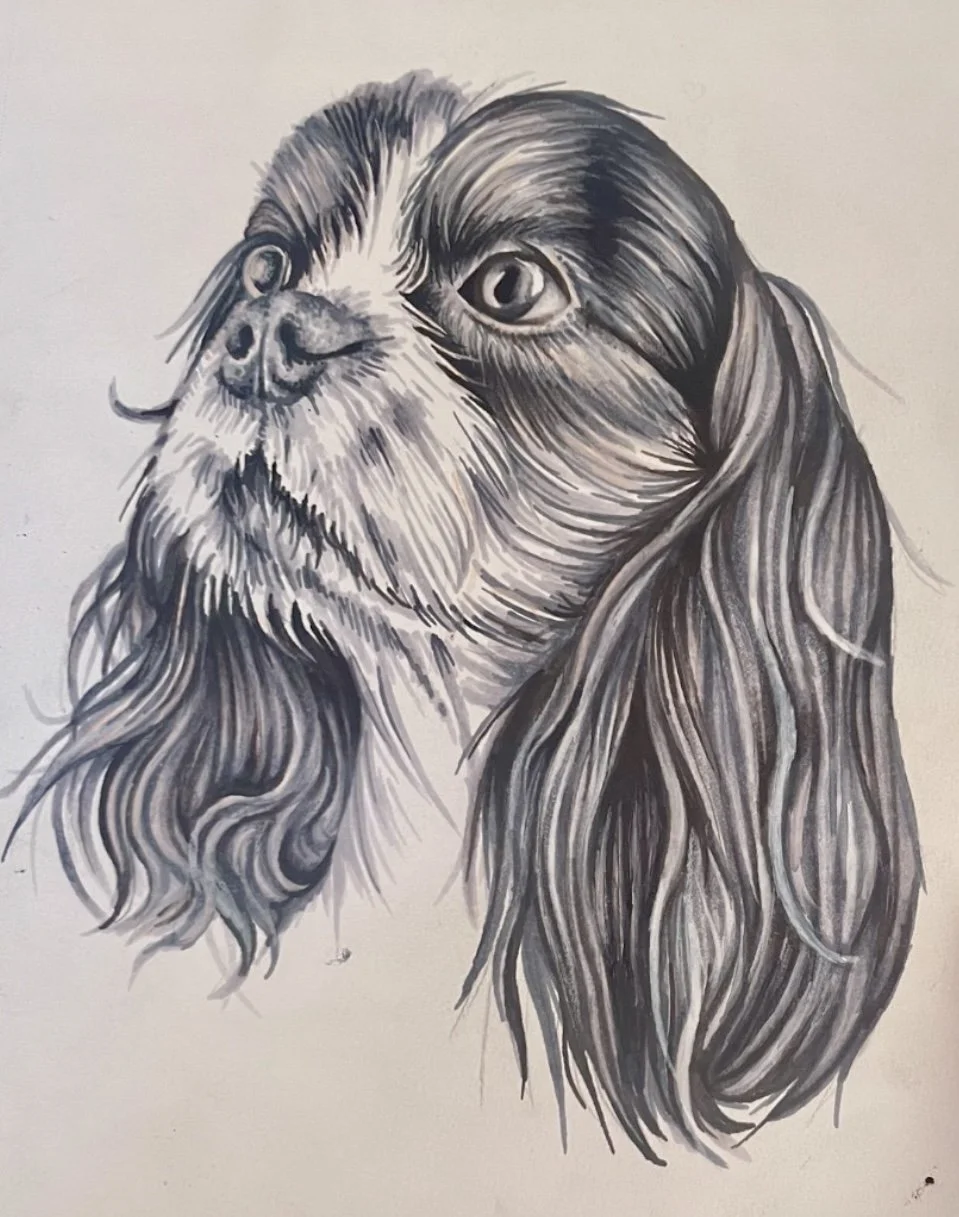 Still, he watches (8x10)