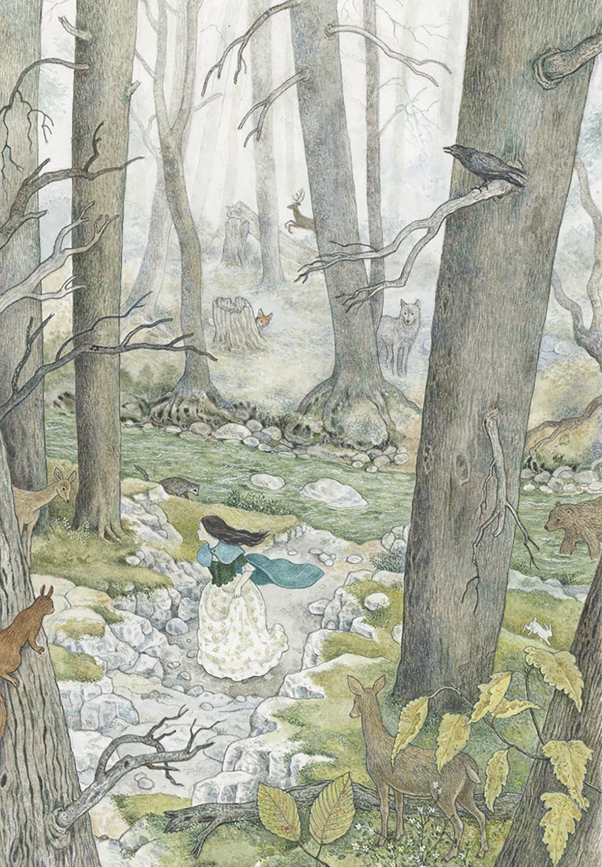 Plate V — the forest