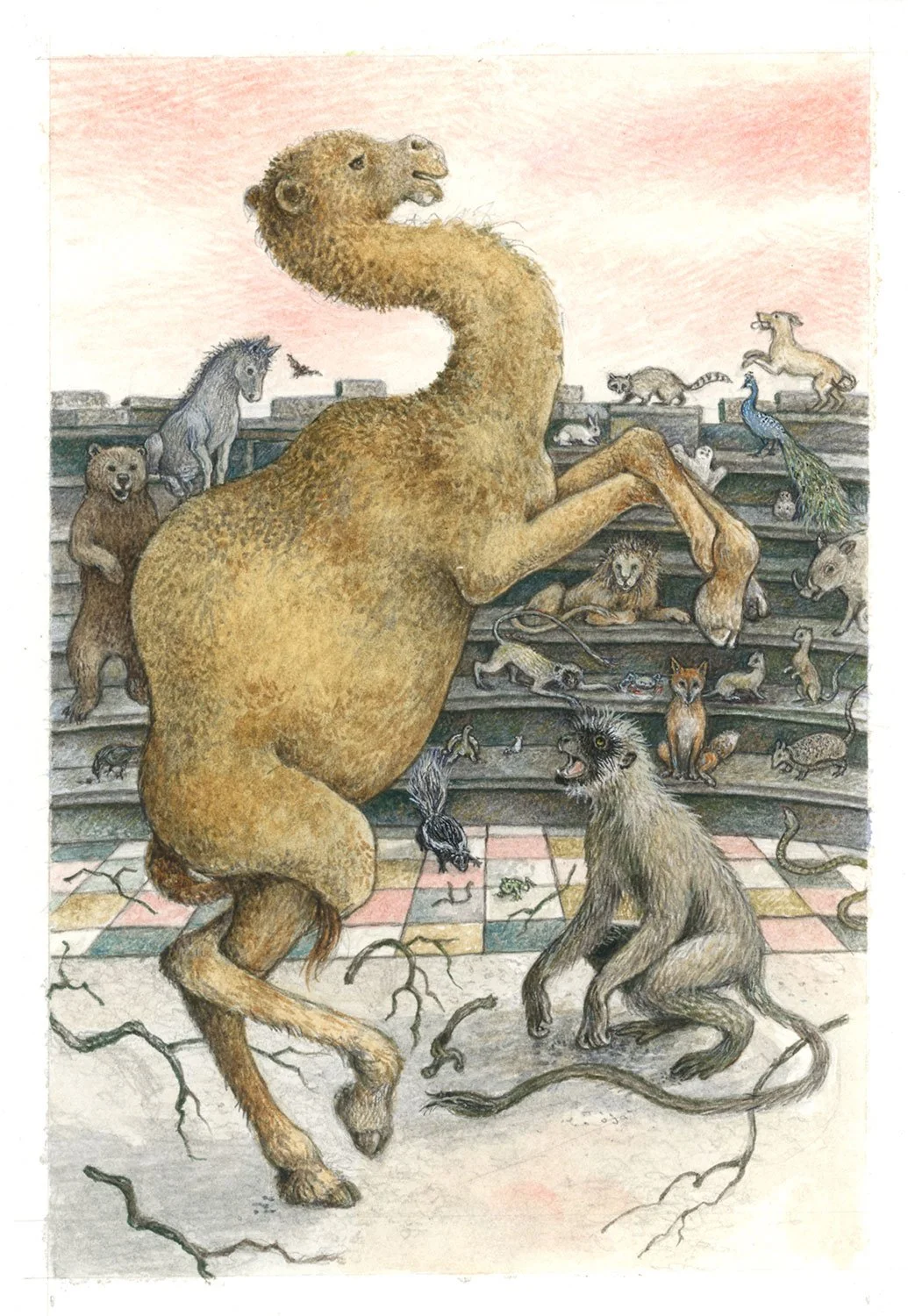 The Monkey and the Camel