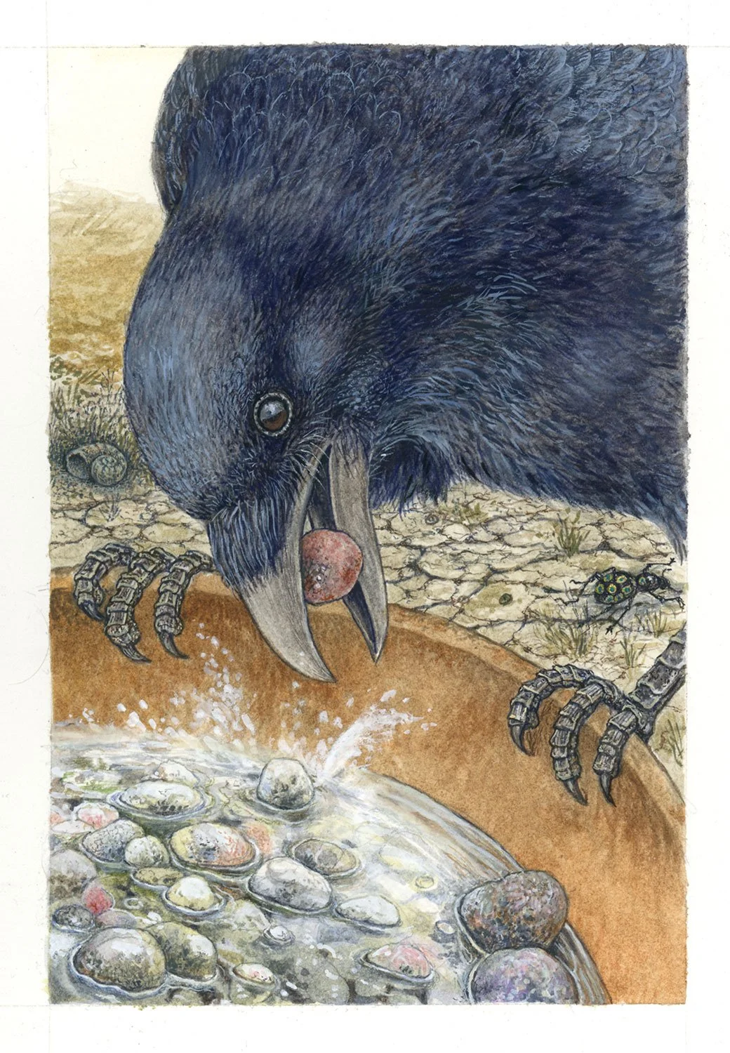 The Raven and the Pitcher