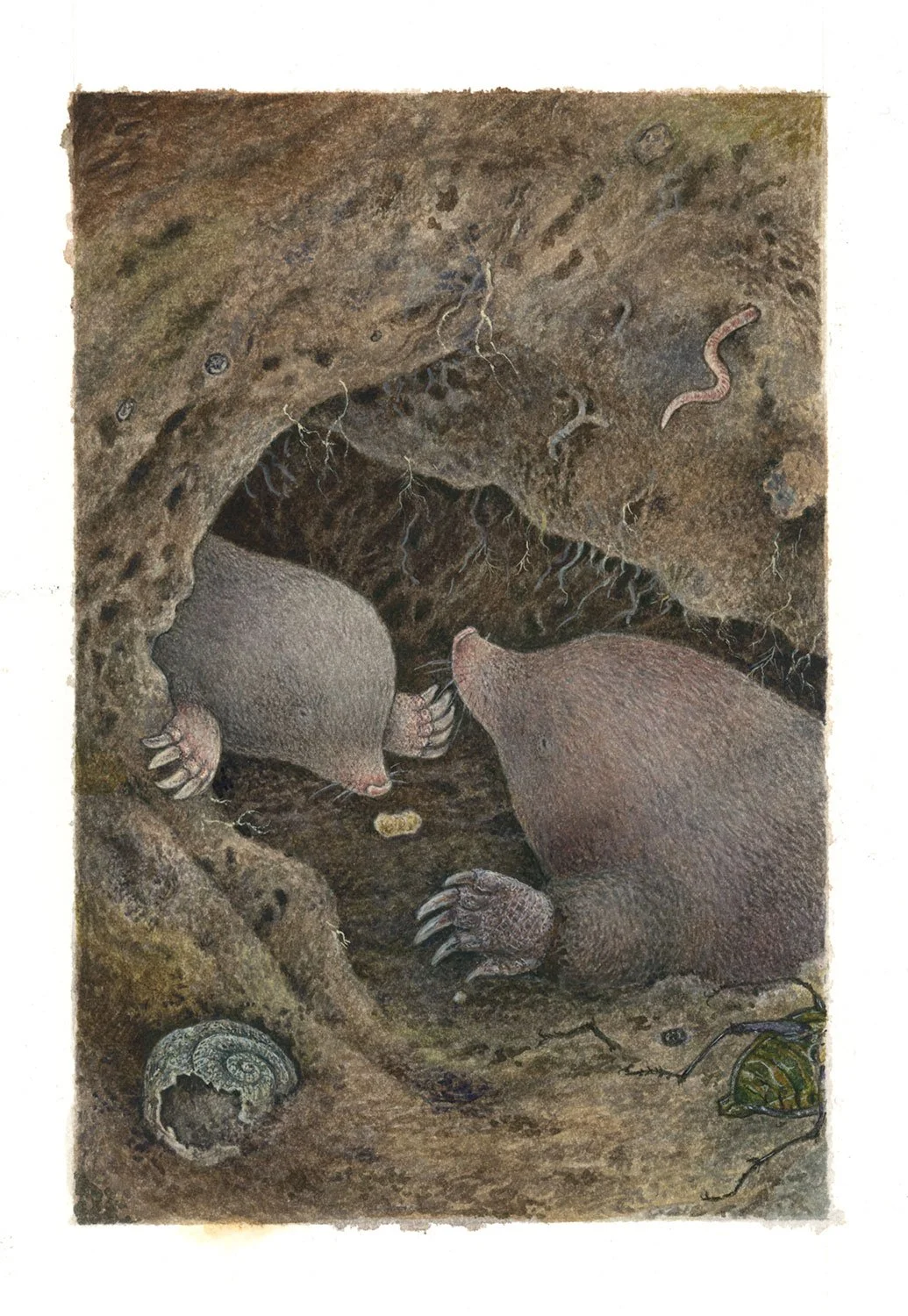 The Mole and His Mother