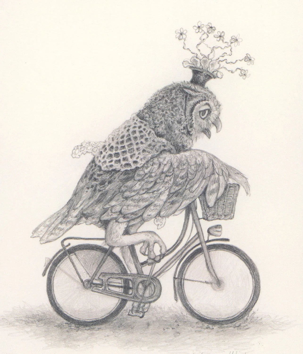 Owl Riding a Bike