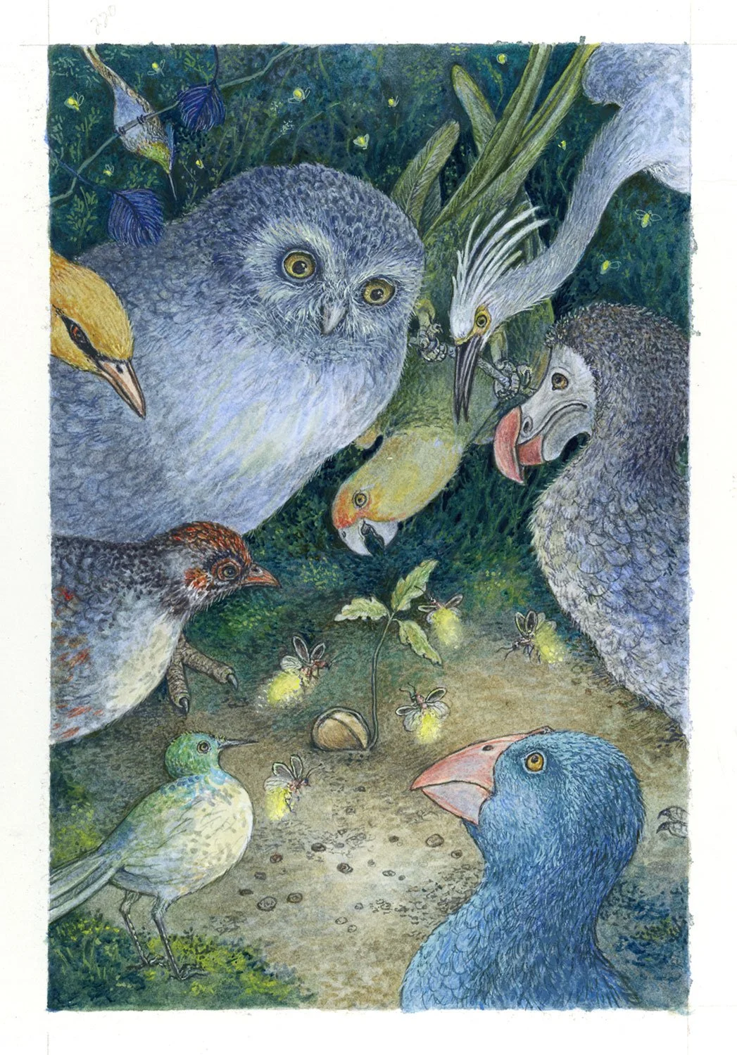 The Owl and the Birds