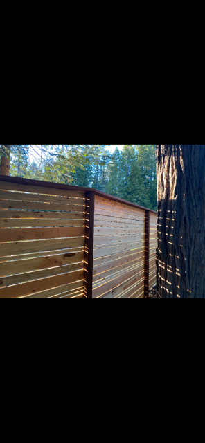 A wooden fence beside a large tree in a forest with blue sky in the background.