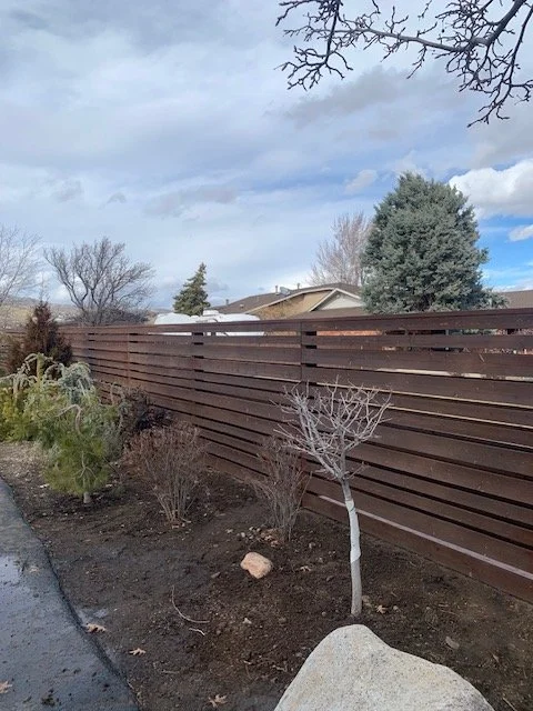 A backyard garden with young leafless trees, some shrubs, and a brown wooden privacy fence under a cloudy sky.