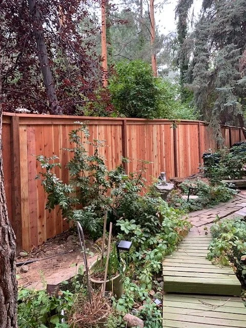 A backyard garden with a wooden fence, trees, various plants, and a stone pathway.