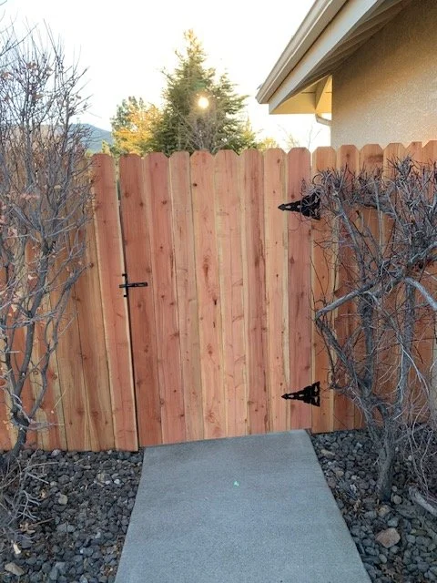 New wooden backyard gate with black latch, flanked by leafless bushes, with a concrete pathway in front and trees and a house roof in the background.
