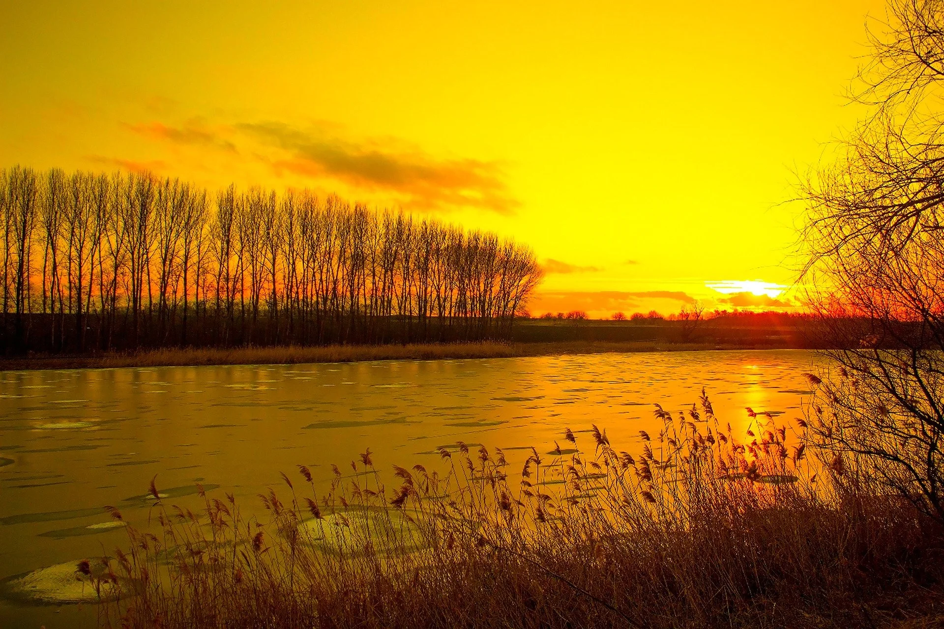 A sunset over a river with leafless trees on the horizon and dry grass in the foreground.