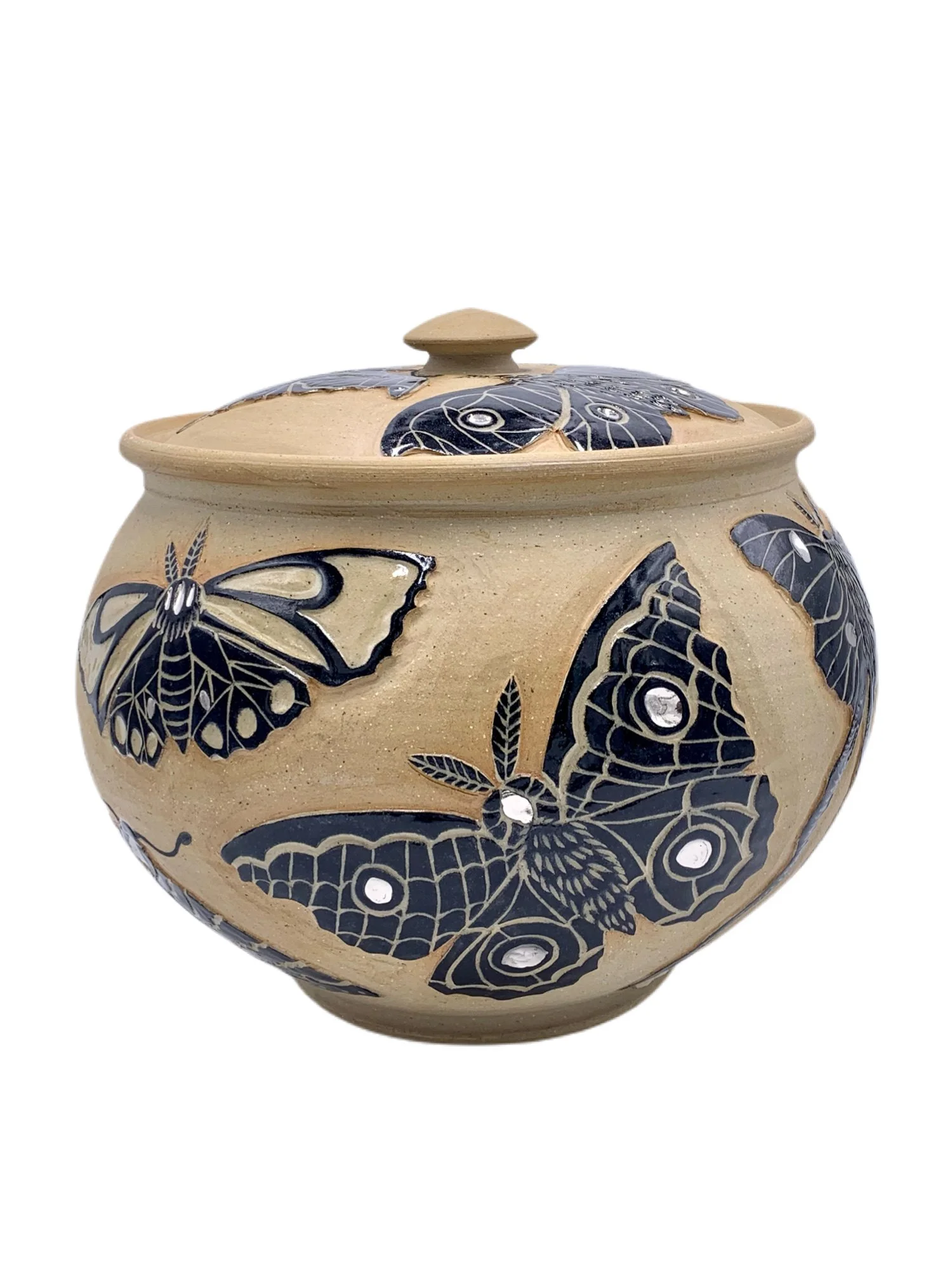 amittl_lepidopterantureen_1.JPG