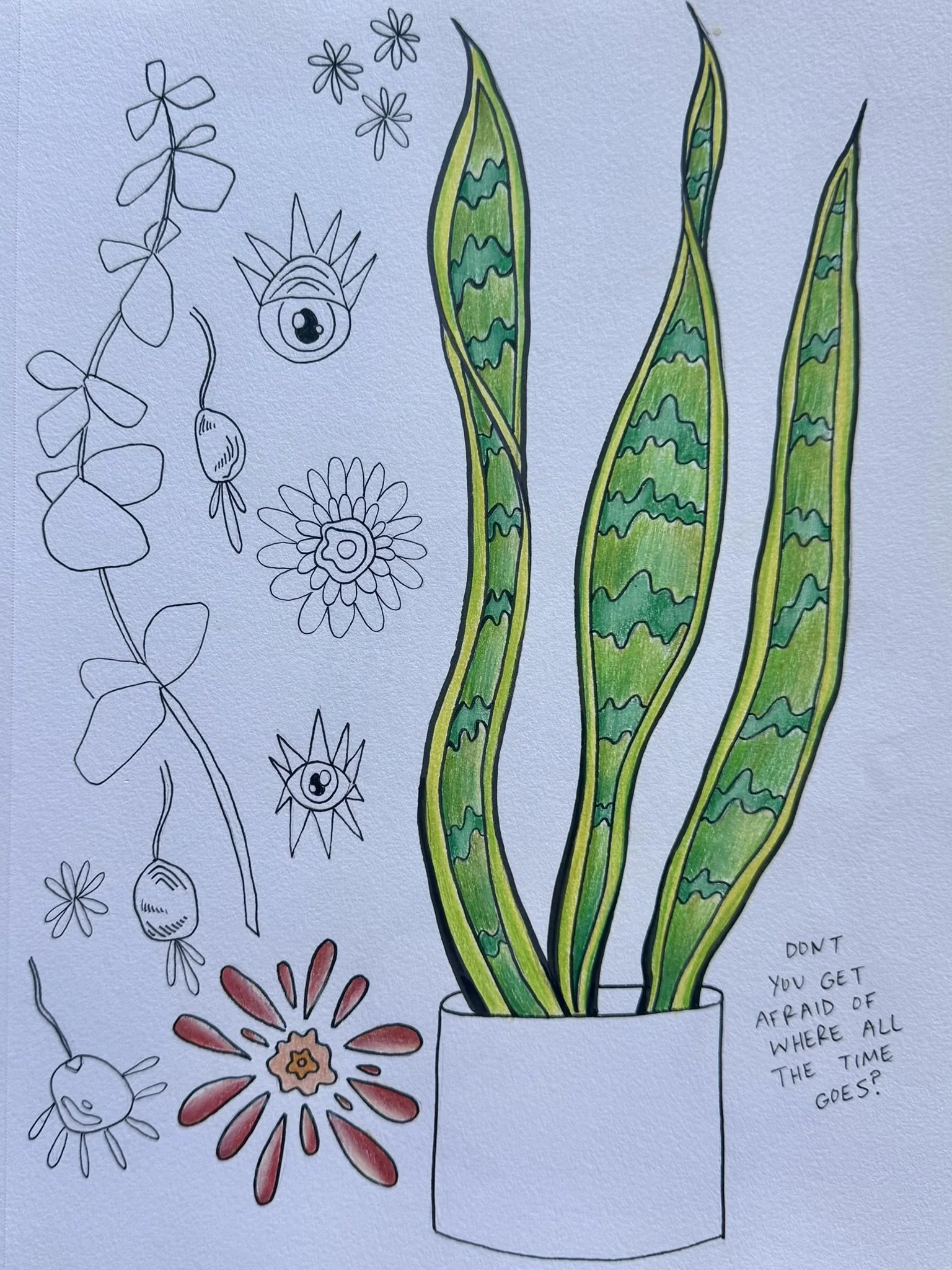 Colorful drawing of a potted plant with three tall green leaves with wavy yellow and green pattern. Surrounding the pot are various simple line-drawings of flowers and leaves. There is a handwritten quote that says, 'DON'T YOU GET AFRAID OF WHERE ALL