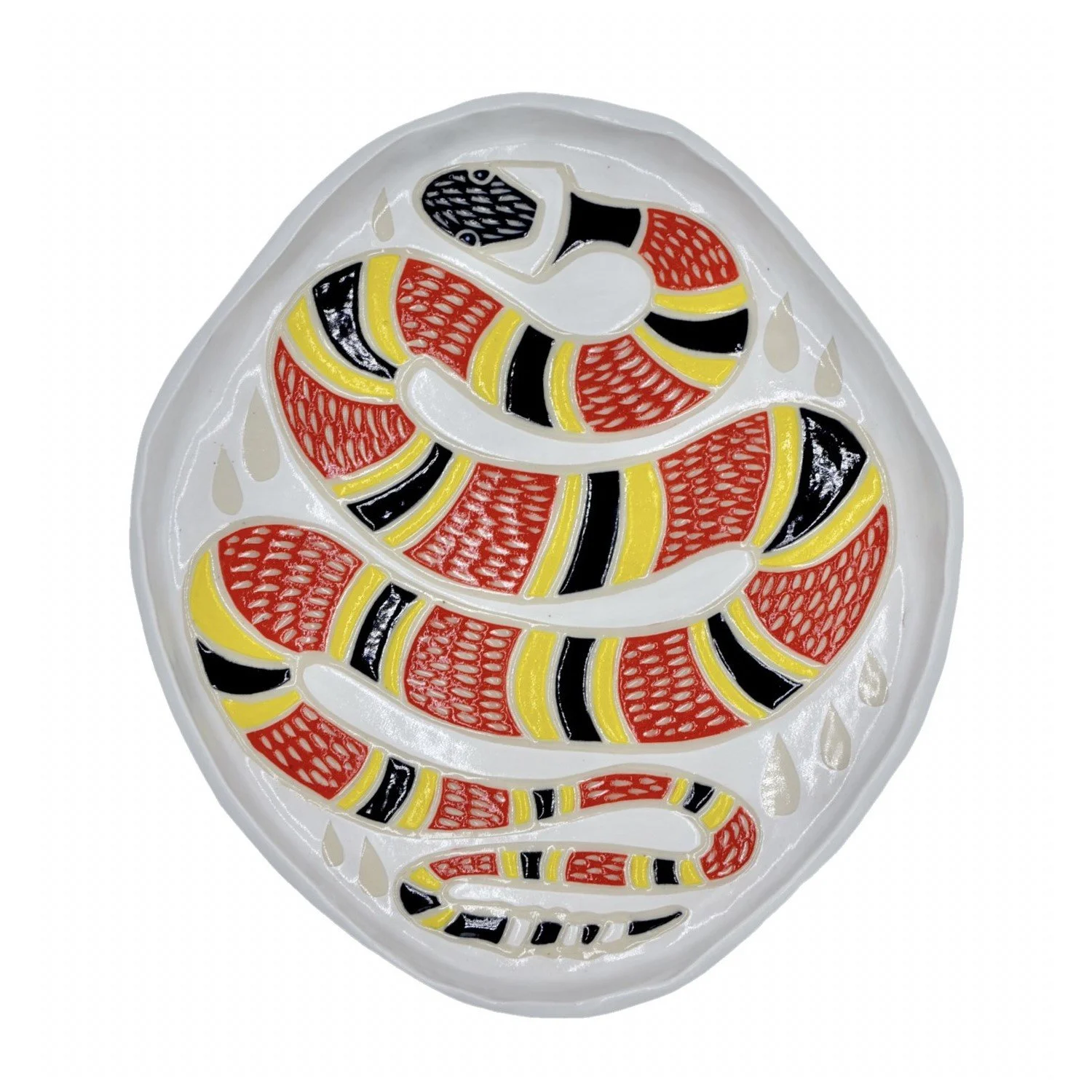 coral snake square.jpg