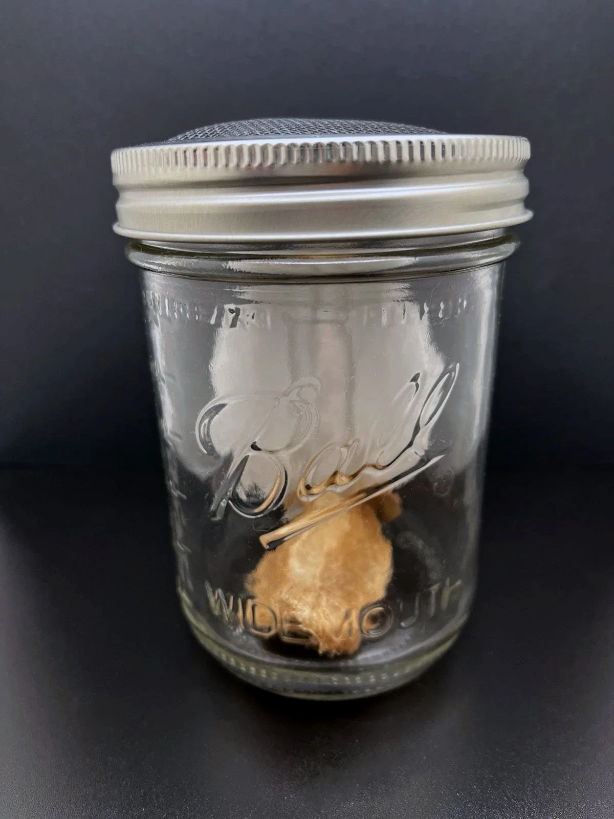 Updated_Jars_Listing_1.jpg (Copy) (Copy)
