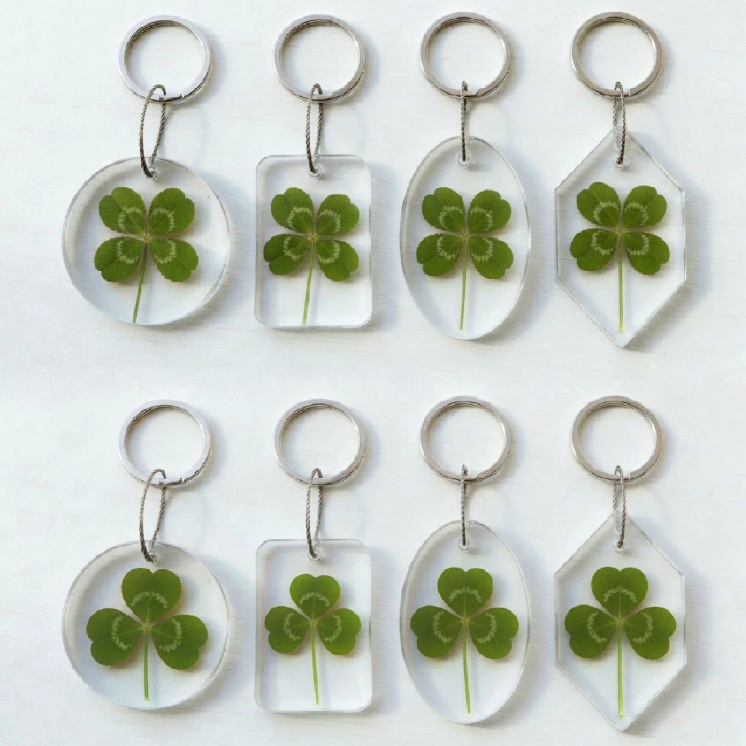 Preserved Dutch White Clover Resin Keychain