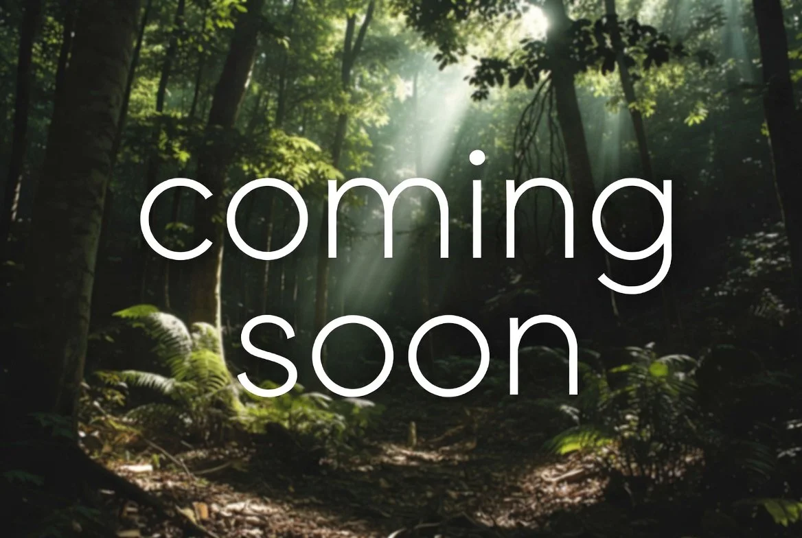 COMING SOON - 11 x 11