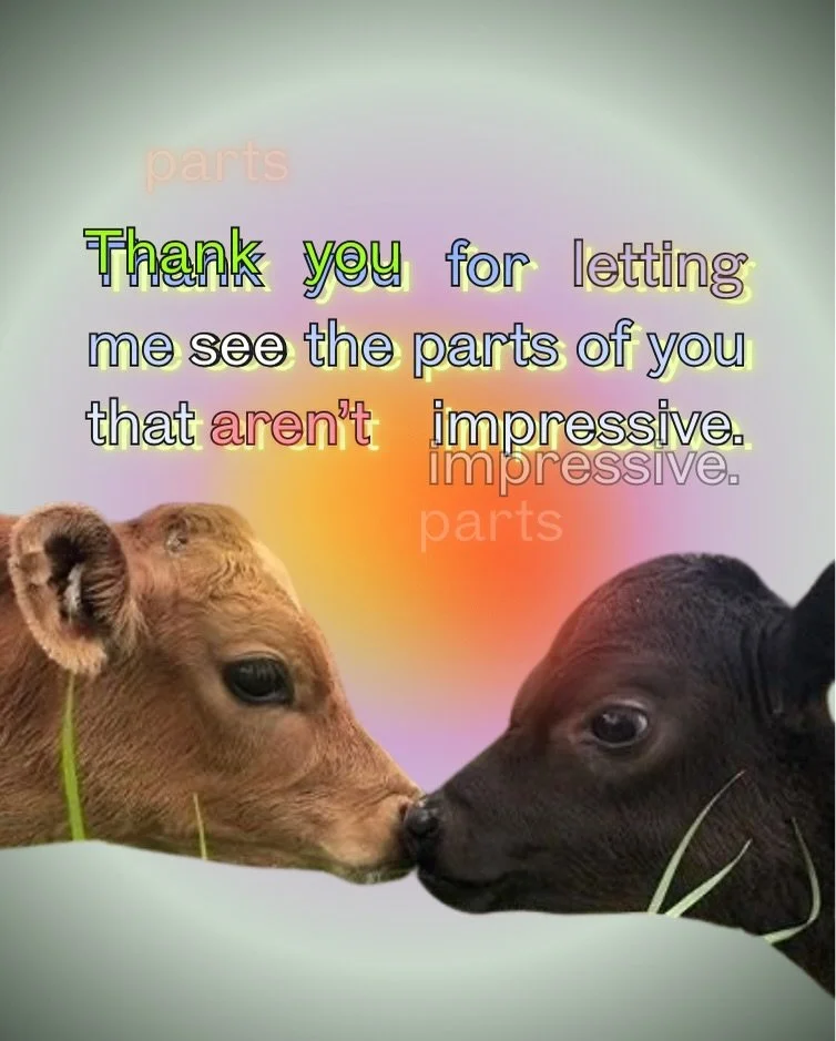 Thank you my love and thank you my friends. 🐄 🐸 🦭🐿️ 🦦🦫🐒 🐻 🦜

Ty for helping source these animal cuties @karicants 💗💗