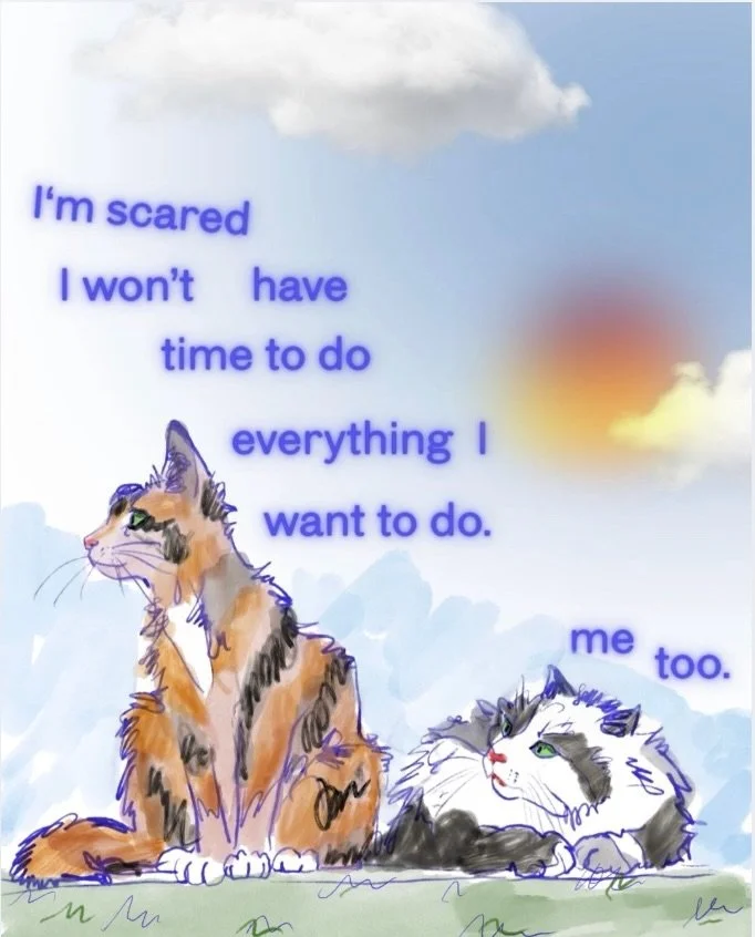 I don&rsquo;t want to miss a thing :)