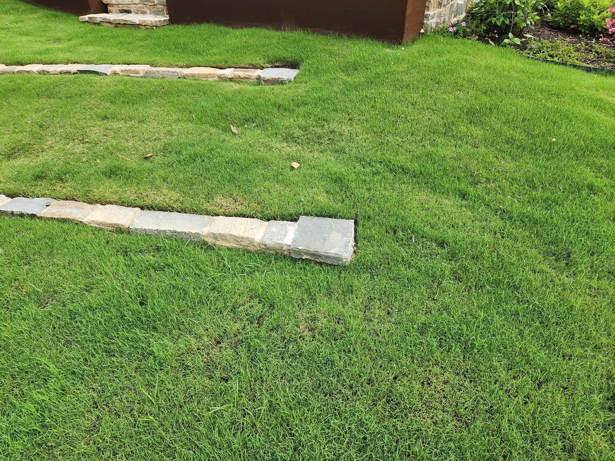 IMG_0615 (1) (1).JPG