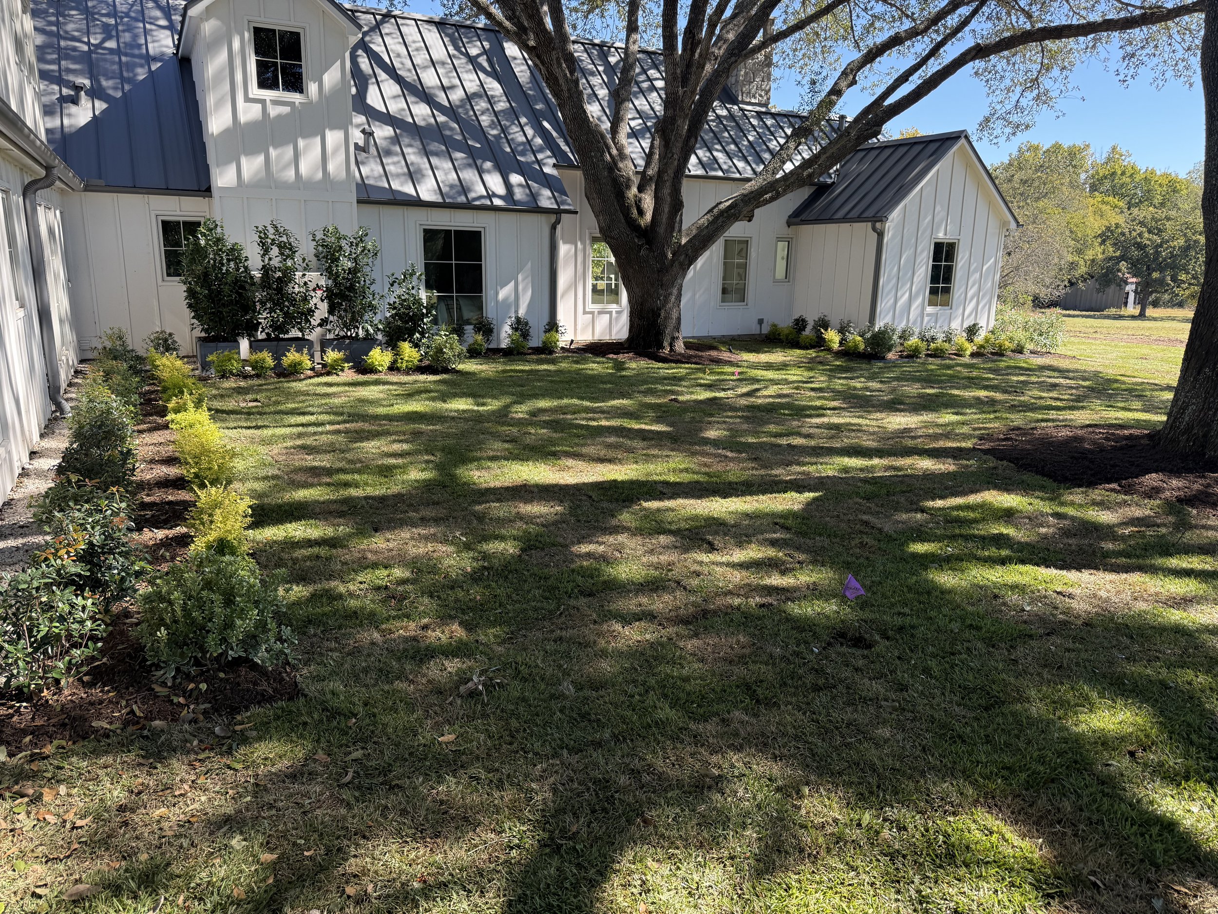 Henry-After (3) (1).jpeg