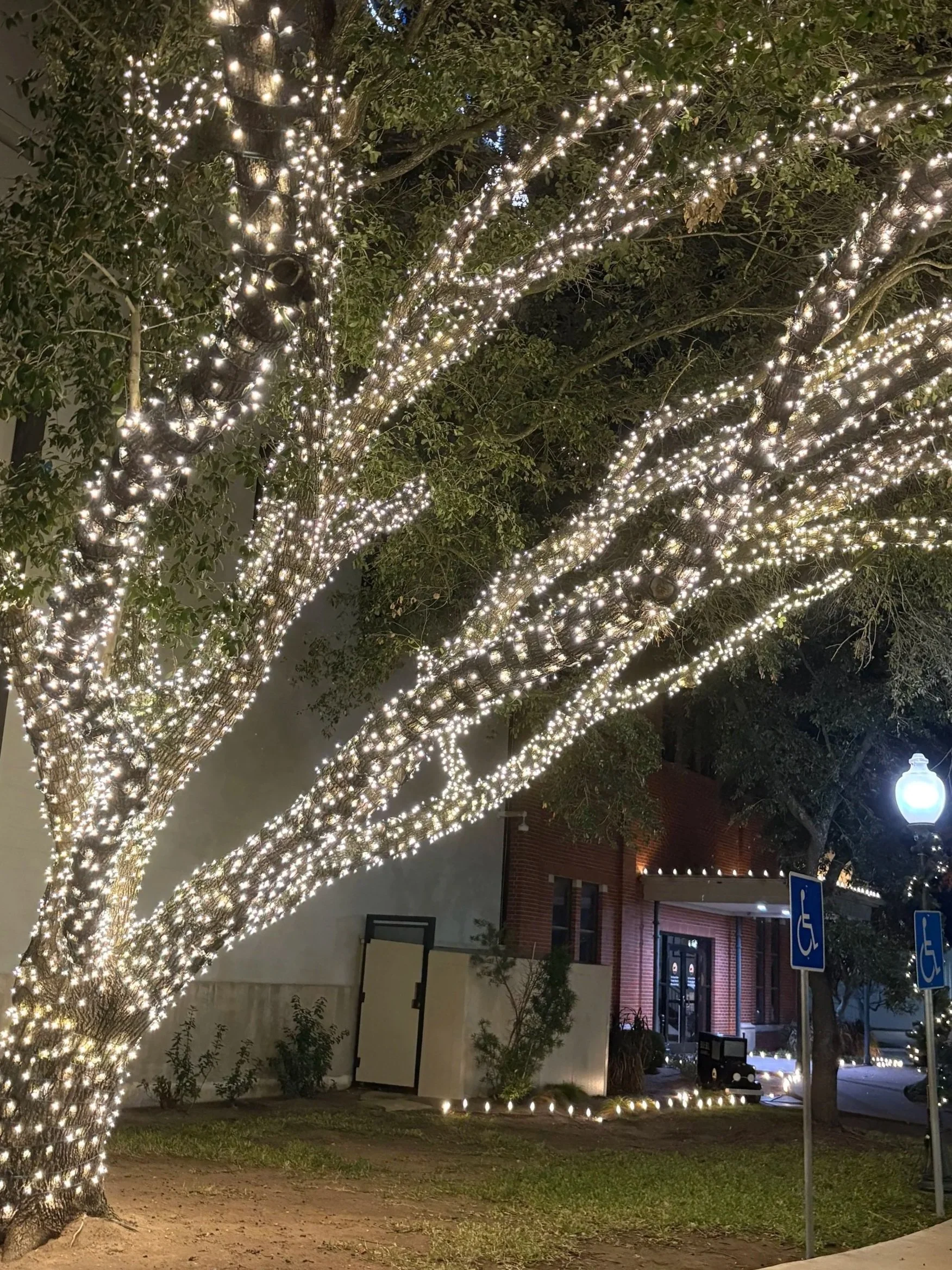 Christmas+Lights-+BB+%286%29.jpg