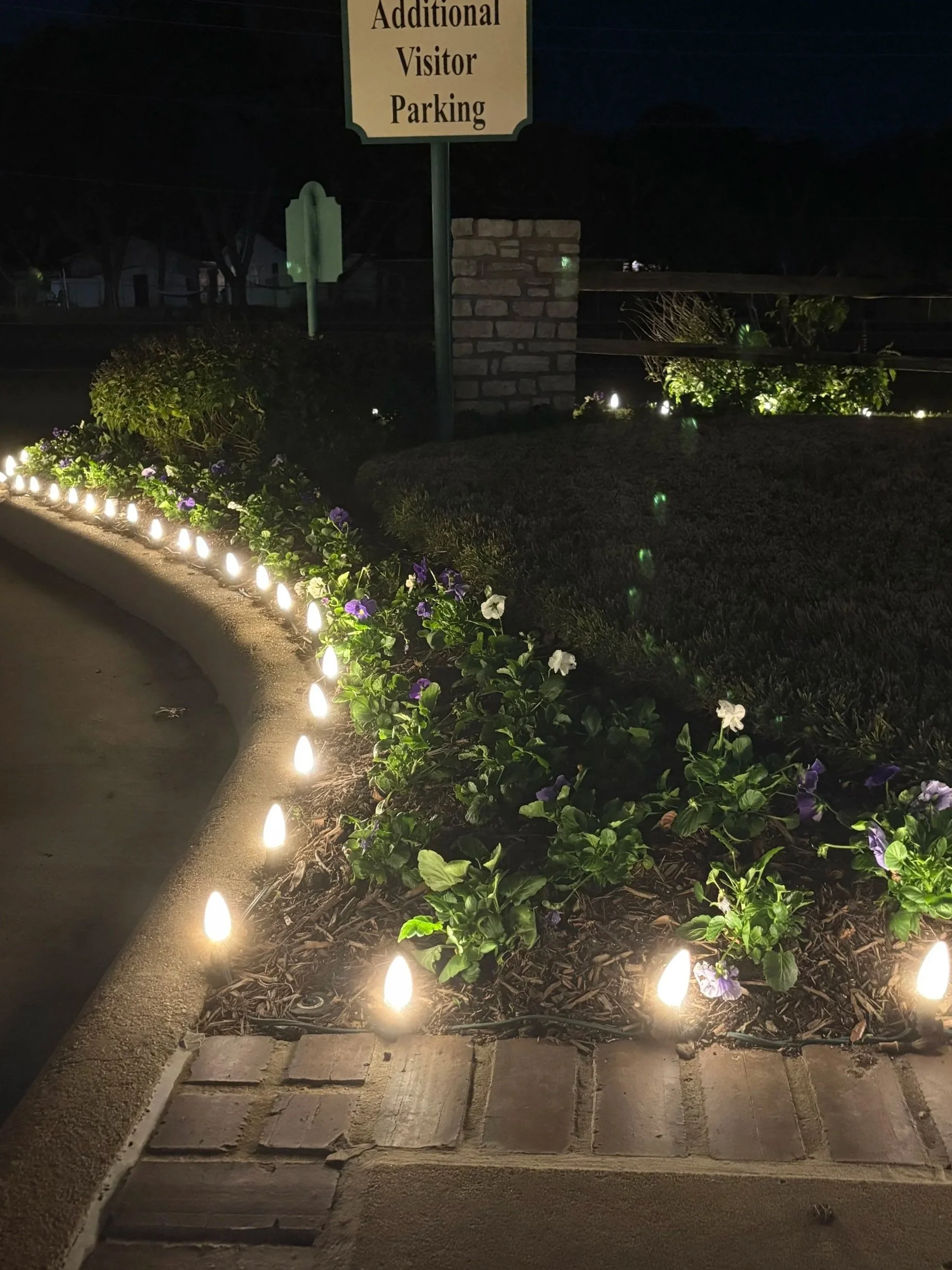 Christmas+Lights-+BB+%2811%29.jpg