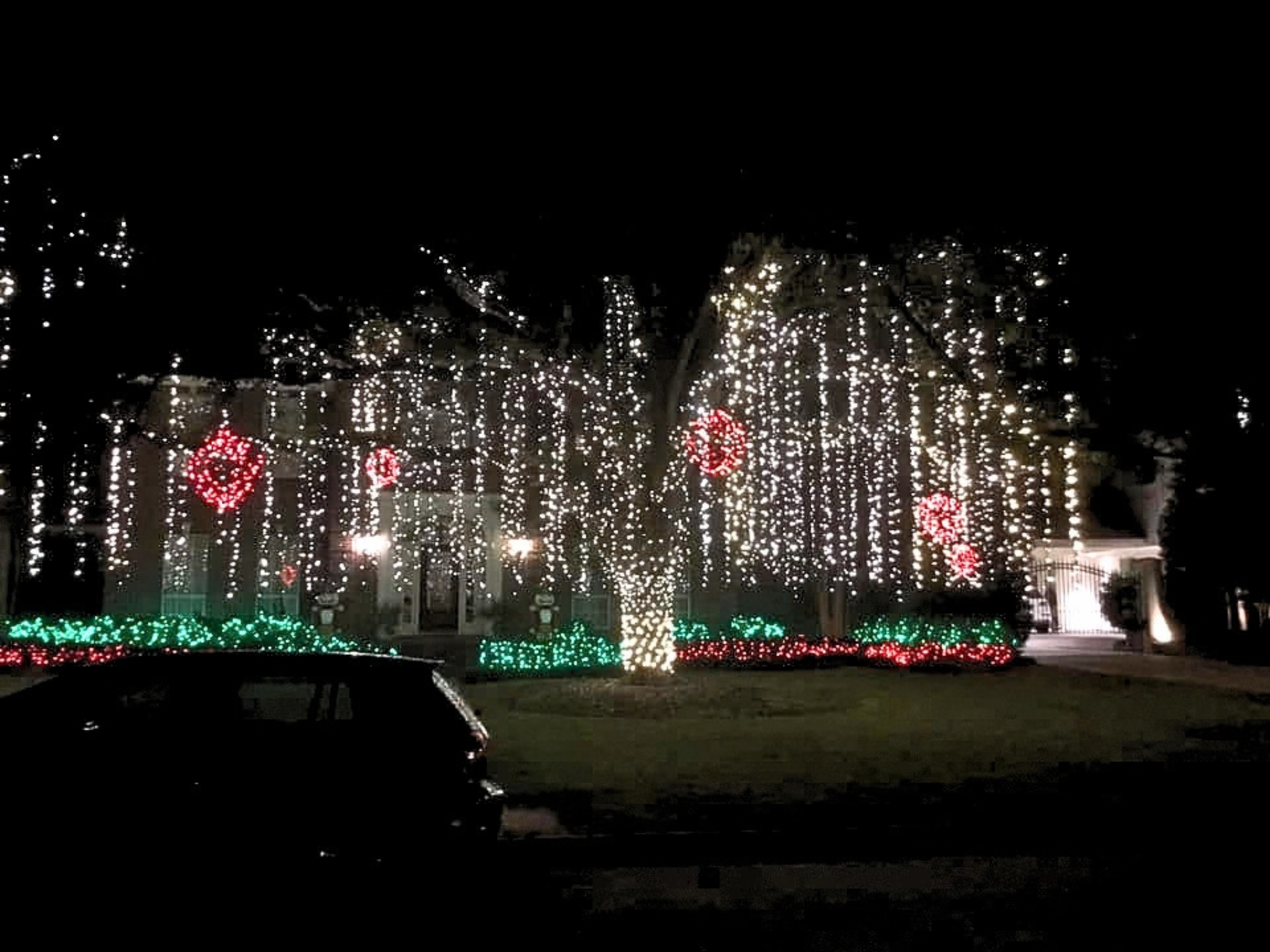 Texana Christmas Light installer strands hanging from tree (1).png