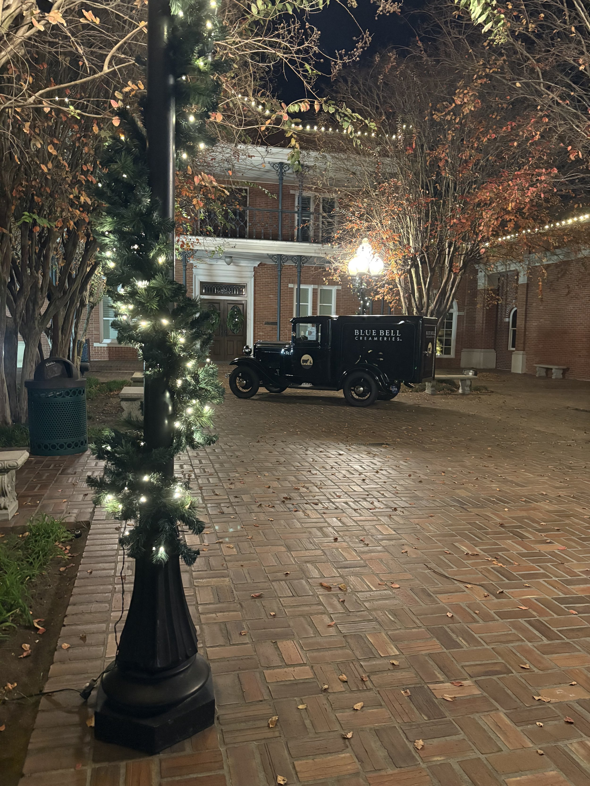Christmas Lights- BB (7).jpeg