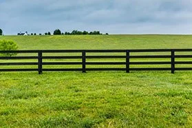 fence_small (1).jpg