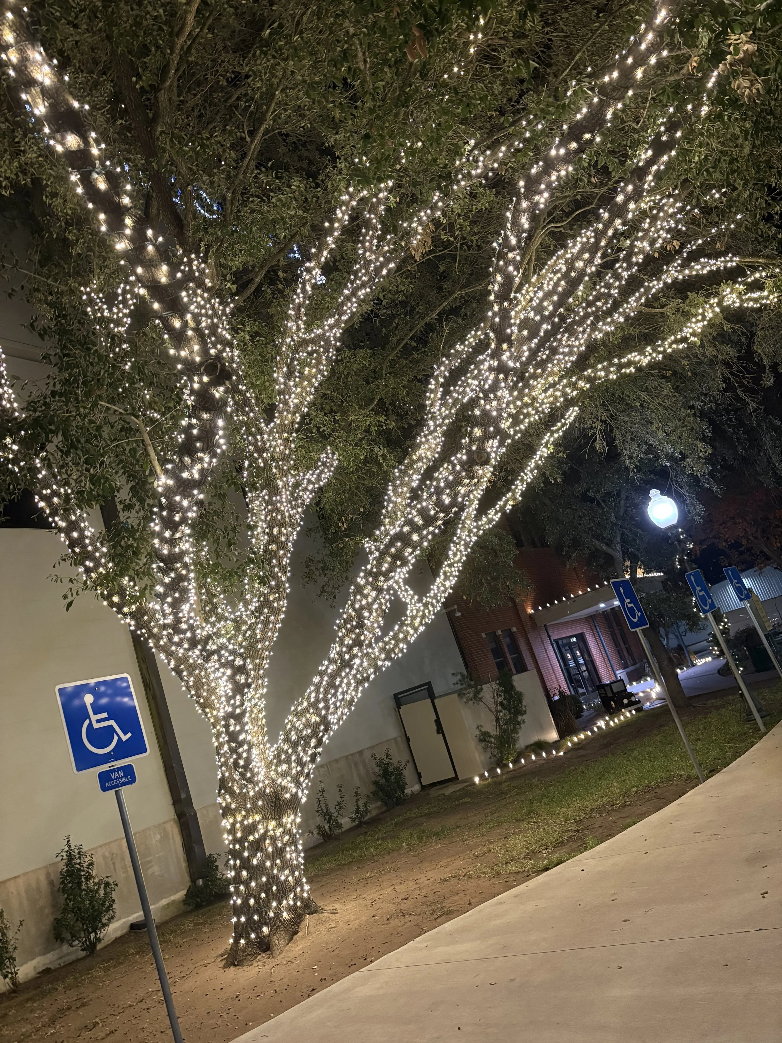 Christmas Lights- BB (6).jpeg