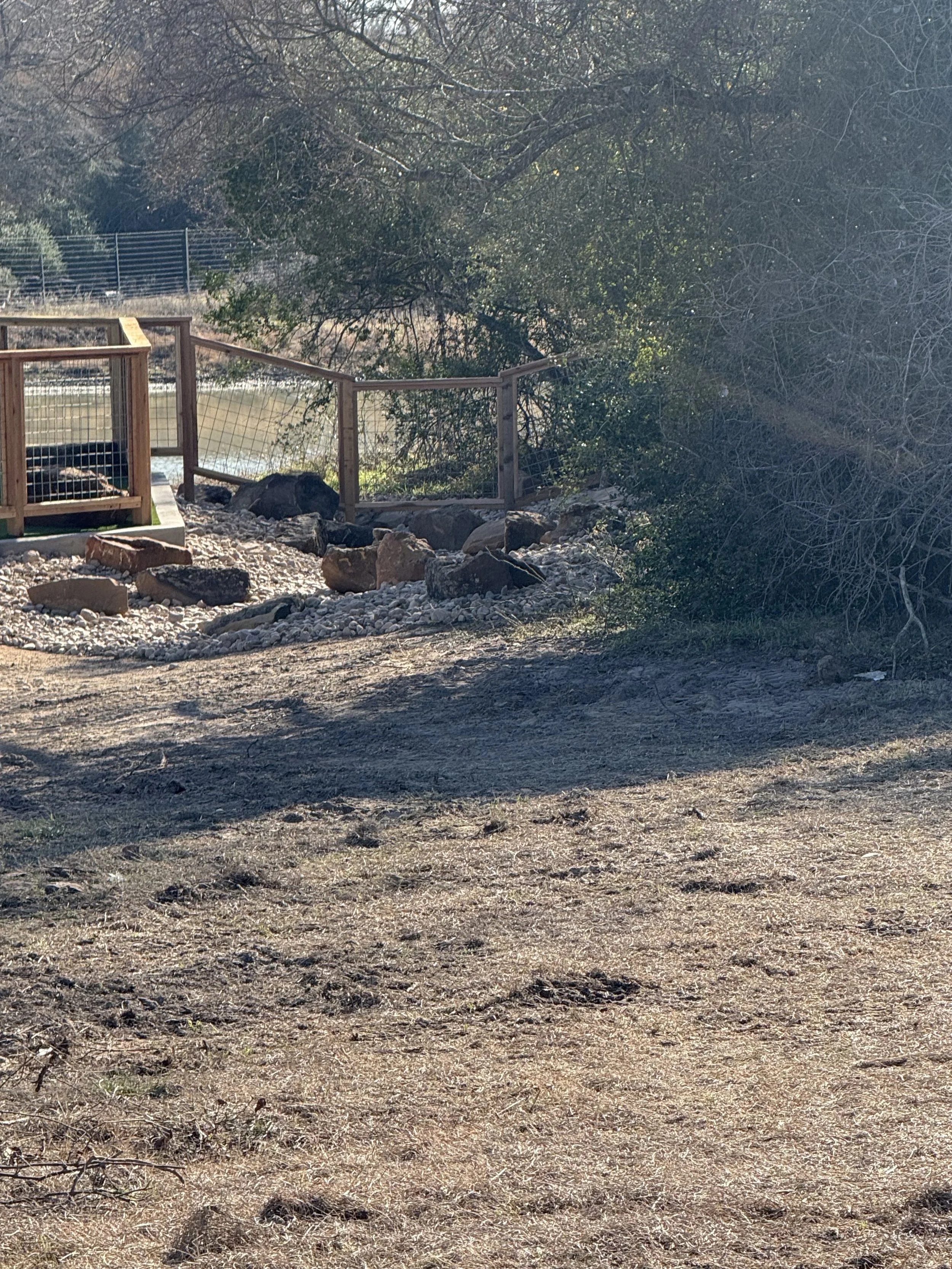 River Bed (4) (2).jpeg