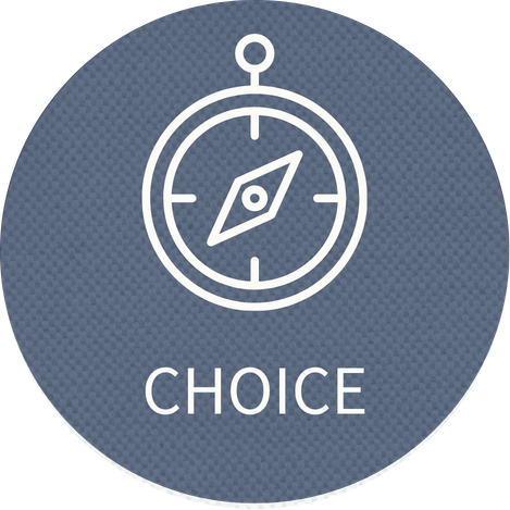 Icon of a compass with the word "Choice" beneath it on a gray textured background.
