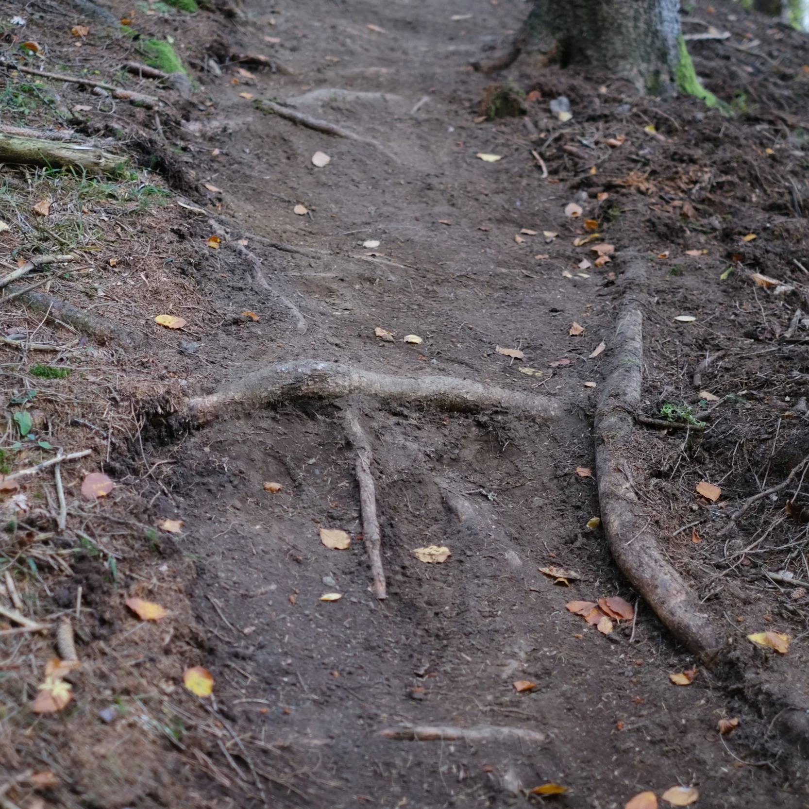 Blackgartner Trail, Carinthia, Austria