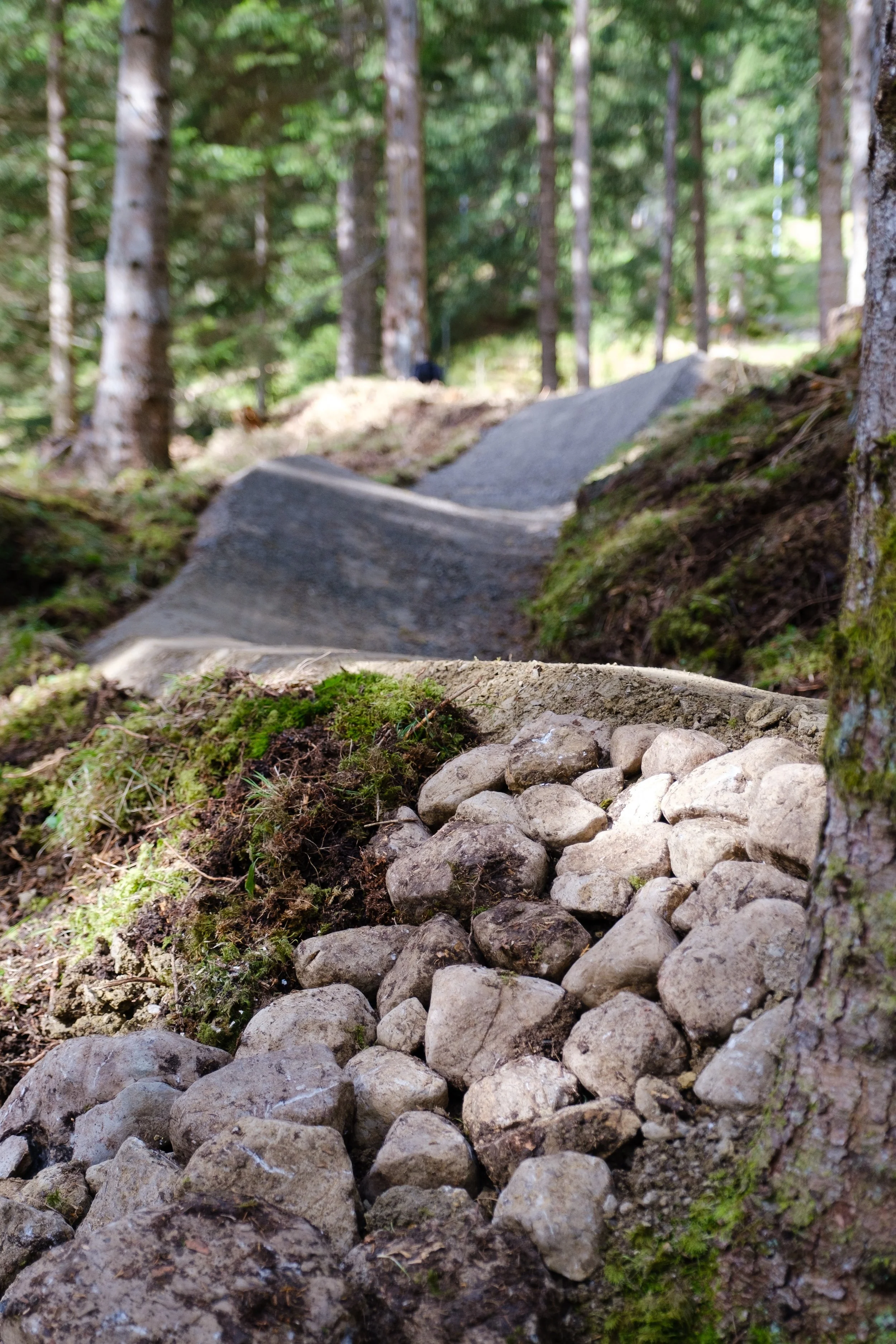 Bachtl Trail-18_low.jpg