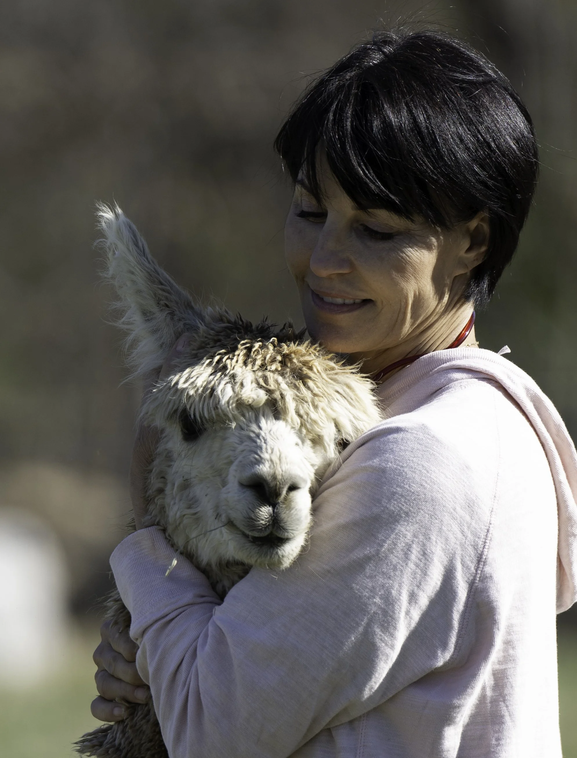 Guest holding a young alpaca during a farm experience at Sapphire Charm