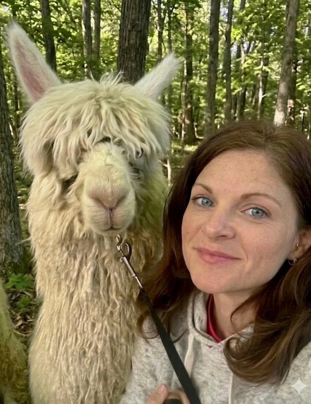 Jana sitting outdoors with an alpaca at Sapphire Charm Alpacas