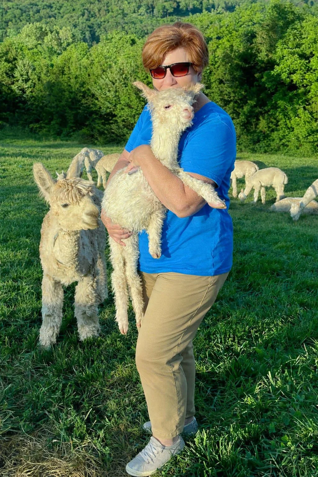 Woman holding a baby alpaca in a green pasture with the herd behind her