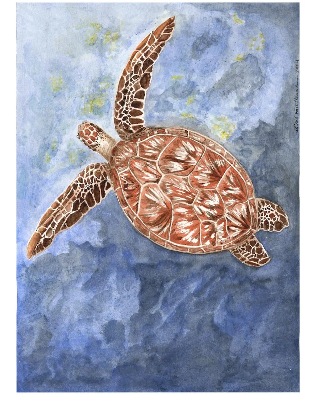 Reef Sea Turtle
