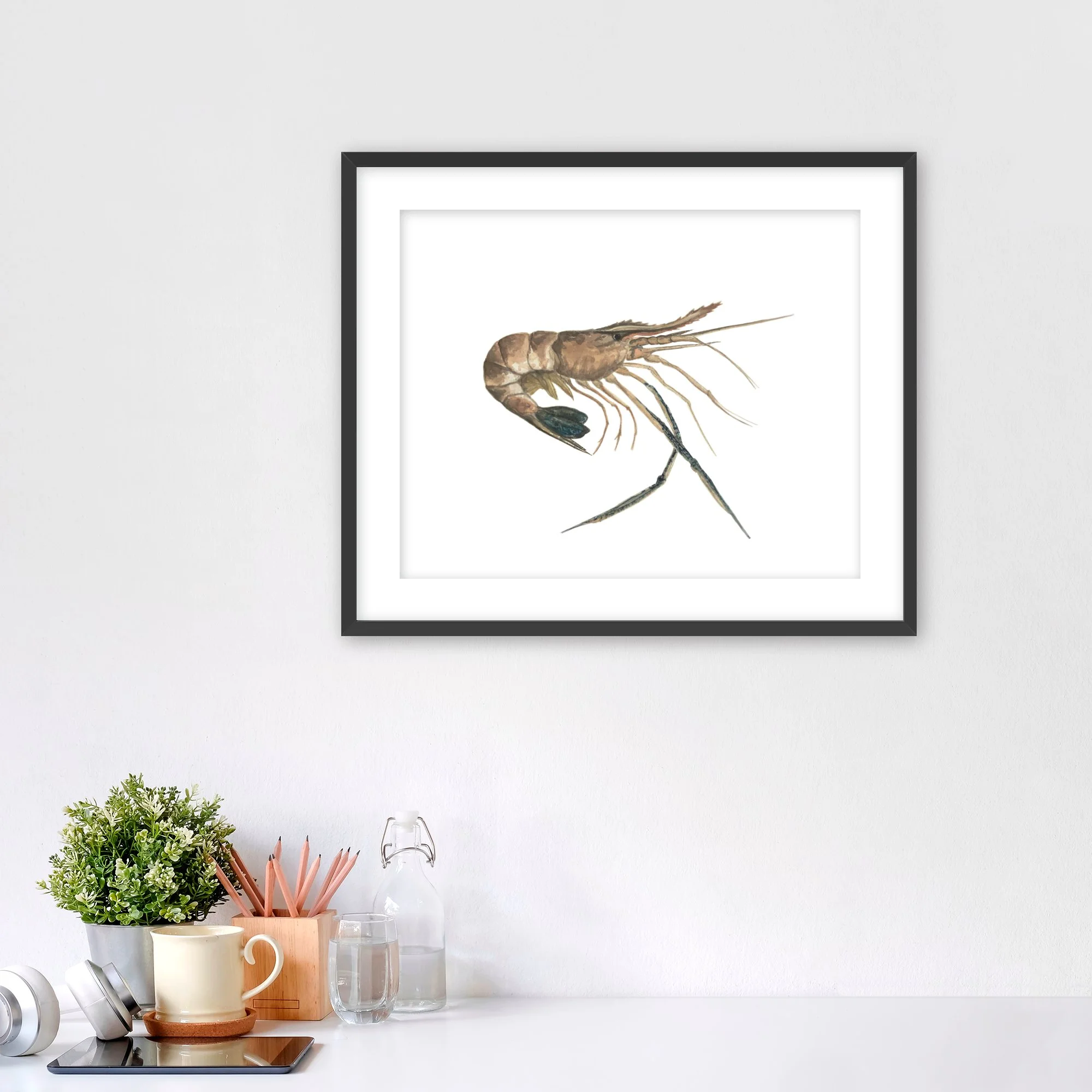 BlueLegsPrawn Lg Fr.jpg