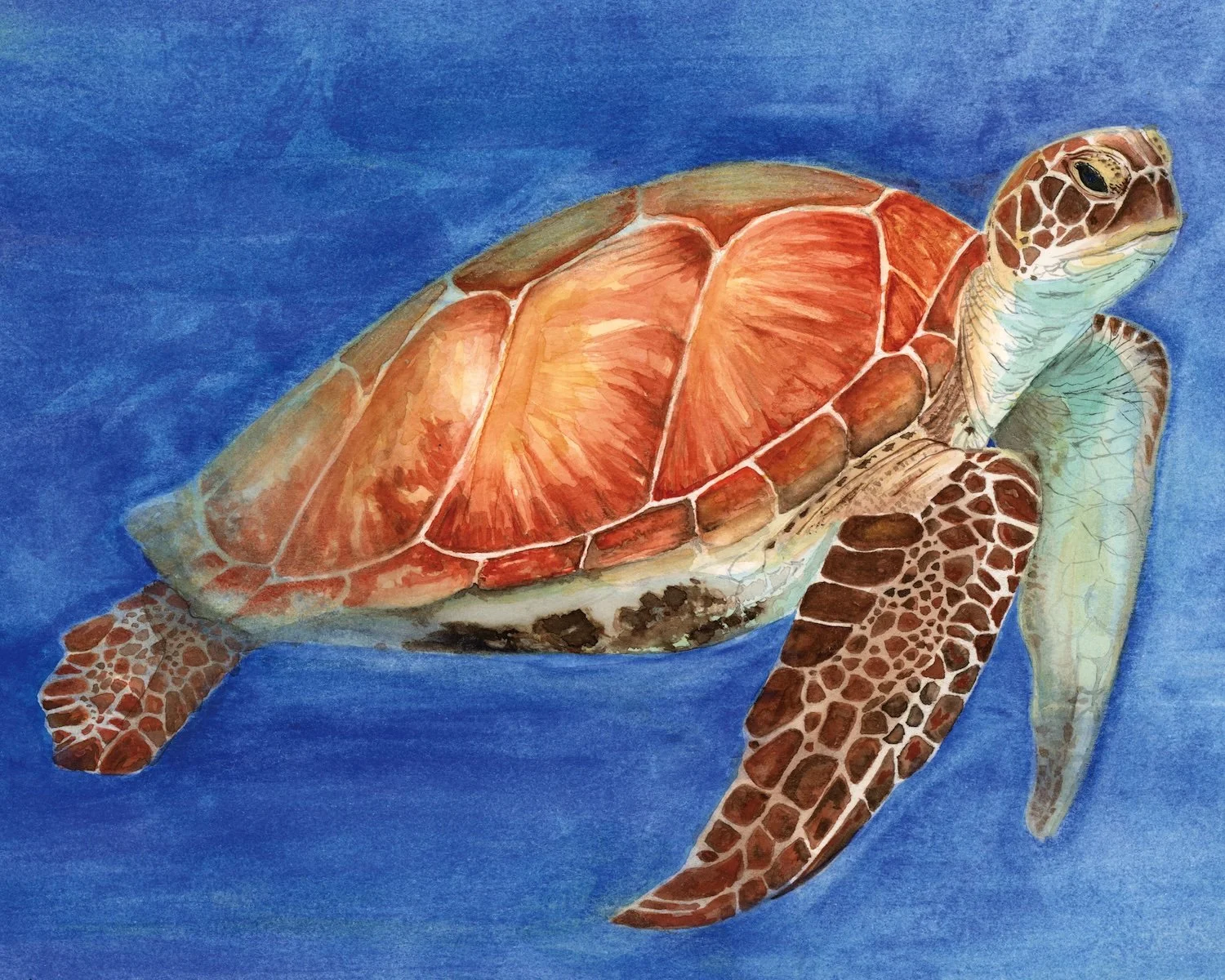 A realistic watercolor painting of a sea turtle swimming in blue water, showing detailed shell and flippers.