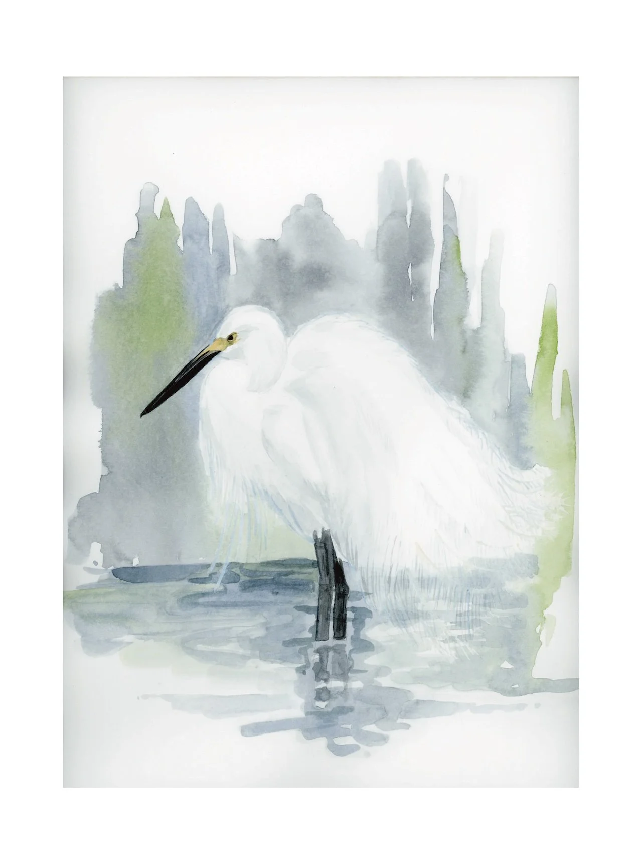 Watercolor painting of a white heron standing in water with green and gray foliage in the background.