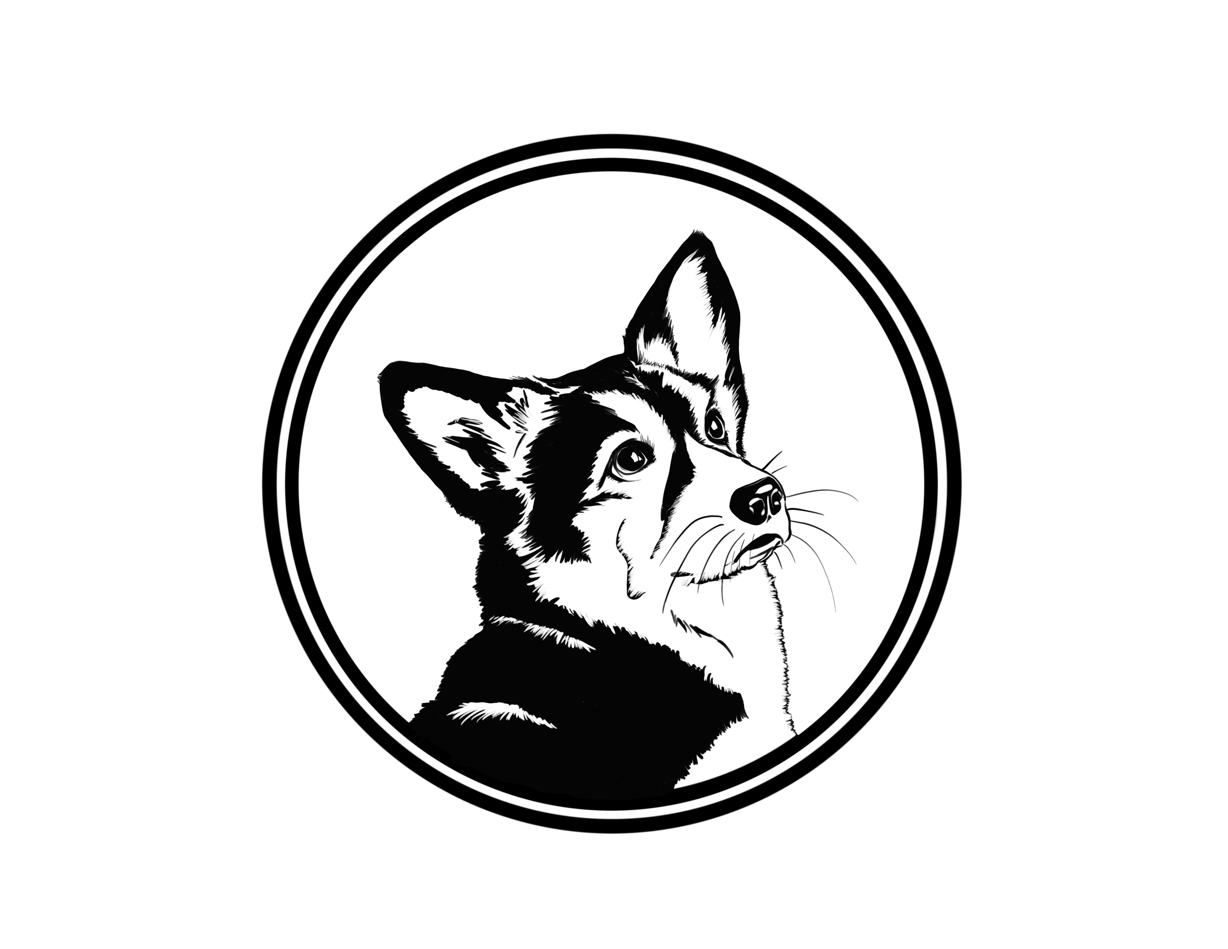 The Hand Drawn Digital