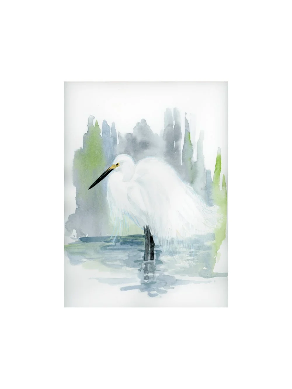 Serene Snowy Egret