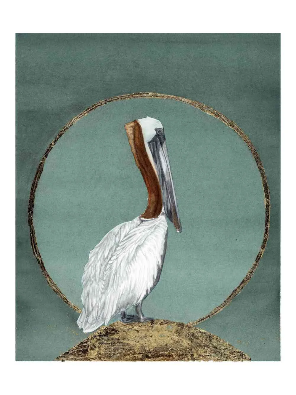 Brown Pelican Circle.jpg