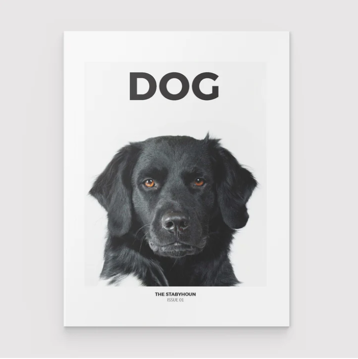 DOG Magazine Article