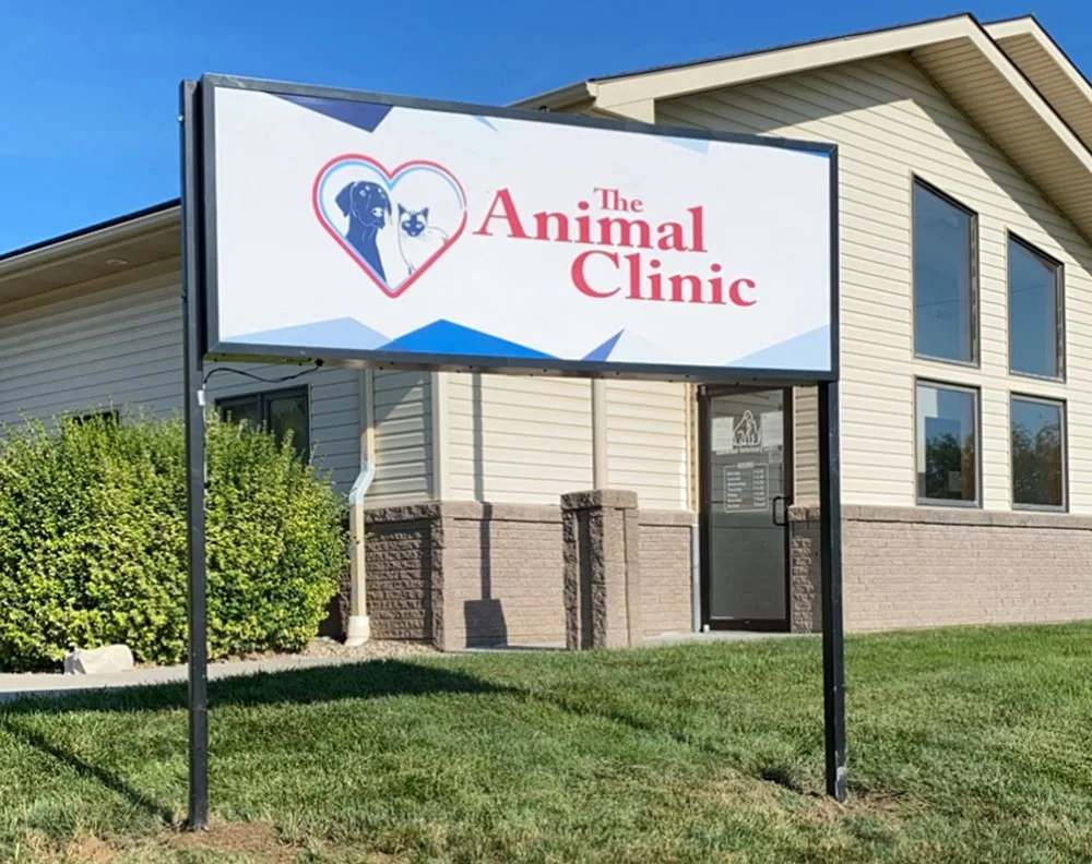 Sign for The Animal Clinic outside a building with large windows and a shrub nearby.
