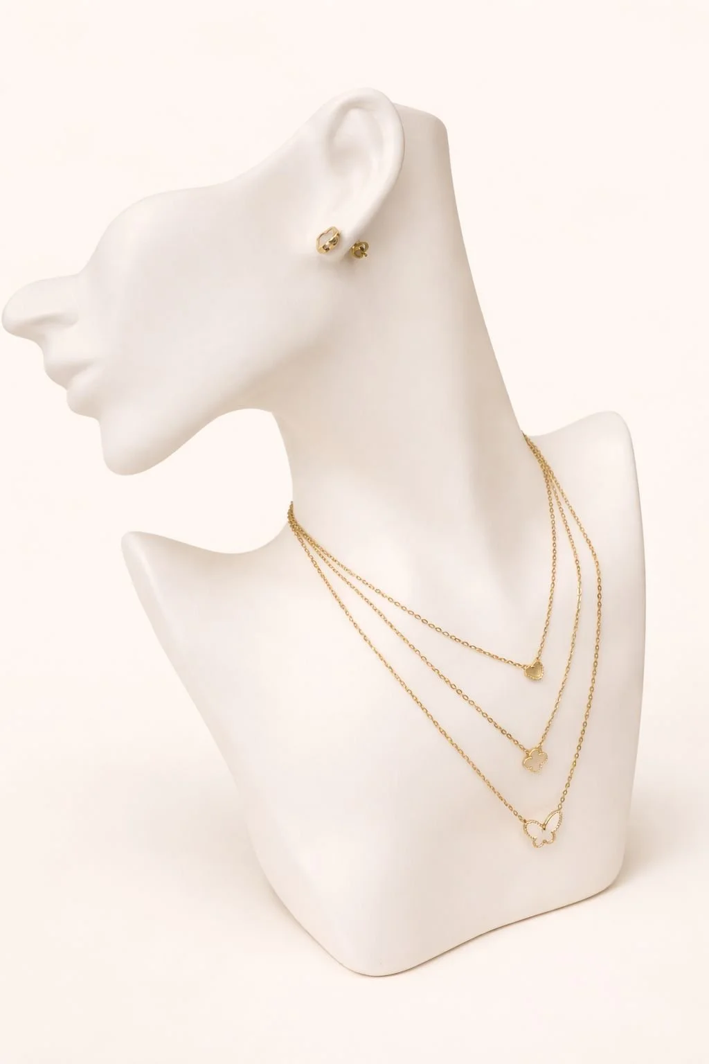 WhatsApp Image 2026-02-15 at 7.24.42 PM (3).jpeg